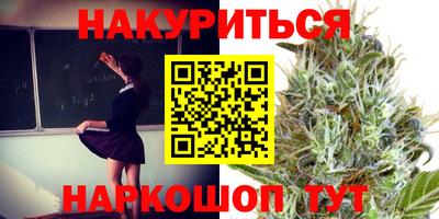 кокс Можга