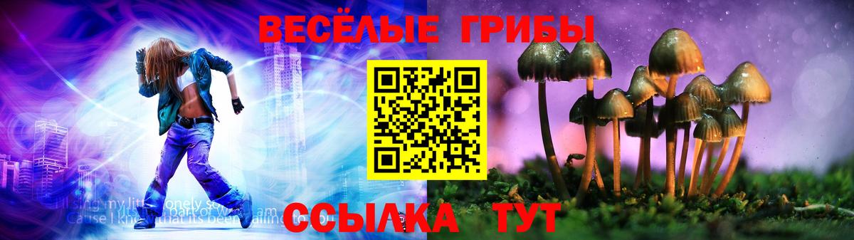 Шарыпово  Галлюциногенные грибы Cubensis  Вход с VPN  Псилоцибиновые грибы Psilocybine cubensis 
